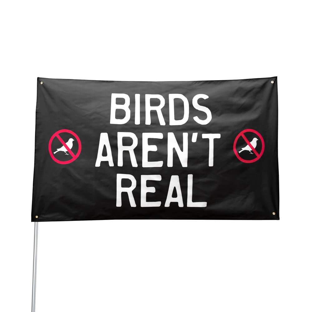 Birds Aren't Real Flag, 3x5 Feet College Dorm Activist Banner