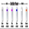 Specialty Archery PXS Target Peep Verifier #5 Purple view 1