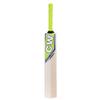 CW Legend Tennis Ball BAT Full Size Popular Willow Bat Full Size Men Tennis Cricket Bat Poplar Willow Bat with I-10 Ball view 2