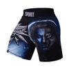 Red Plume Men's Elastic Waist Classic Fit Short Swim Trunks Quick Dry Swimwear Casual Beach Board Shorts (Color E, X-Large) view 1