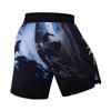 Red Plume Men's Elastic Waist Classic Fit Short Swim Trunks Quick Dry Swimwear Casual Beach Board Shorts (Color E, X-Large) view 3