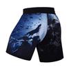 Red Plume Men's Elastic Waist Classic Fit Short Swim Trunks Quick Dry Swimwear Casual Beach Board Shorts (Color E, X-Large) view 4