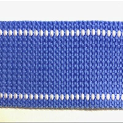 1" Polypropylene Webbing - 10 Continuous Yards! (Light Blue)