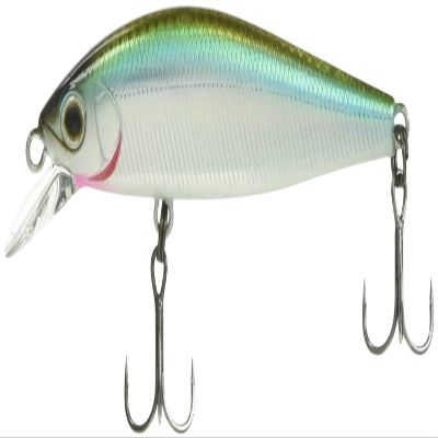 Zipbaits Ridge Flat 60S 975 Wakasagi H/Glowberry