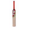 CW Millennium Kashmir Willow BAT with Mallet Cricket Bats for Leather Ball Leather BAT Season Ball BAT Kashmir Willow Full Size for Adult Senior Kashmir Willow BAT with Cover view 2