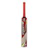 CW Millennium Kashmir Willow BAT with Mallet Cricket Bats for Leather Ball Leather BAT Season Ball BAT Kashmir Willow Full Size for Adult Senior Kashmir Willow BAT with Cover view 3
