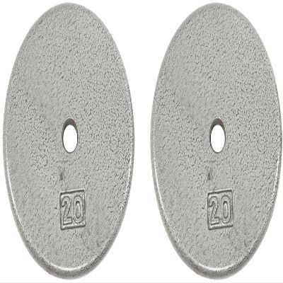Ader Standard 1" Hole Cast Iron Weight Plate Pair- 20-LB, Gray