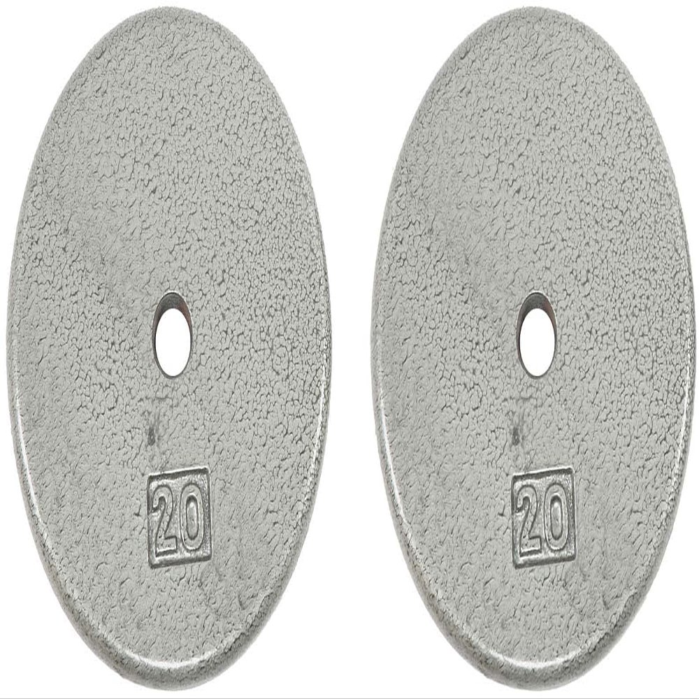 Ader Standard 1" Hole Cast Iron Weight Plate Pair- 20-LB, Gray