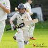 GRS Kids Zone Popular Willow Cricket Bat with Wicket Set & 1 Tennis Ball for Kids (Size 3, Age 6-10 Years) Multicolor view 3