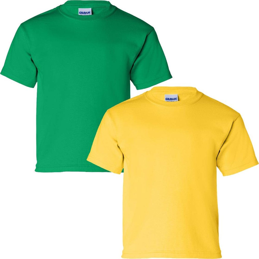 Gildan Kids' Ultra Cotton Youth T-Shirt, 2-Pack MED-Irishgreen-Daisy