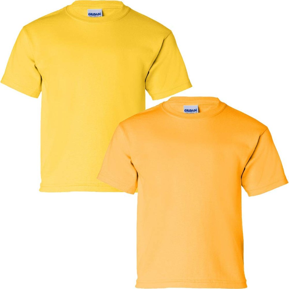Gildan Kids' Ultra Cotton Youth T-Shirt, 2-Pack SML-Daisy-Gold