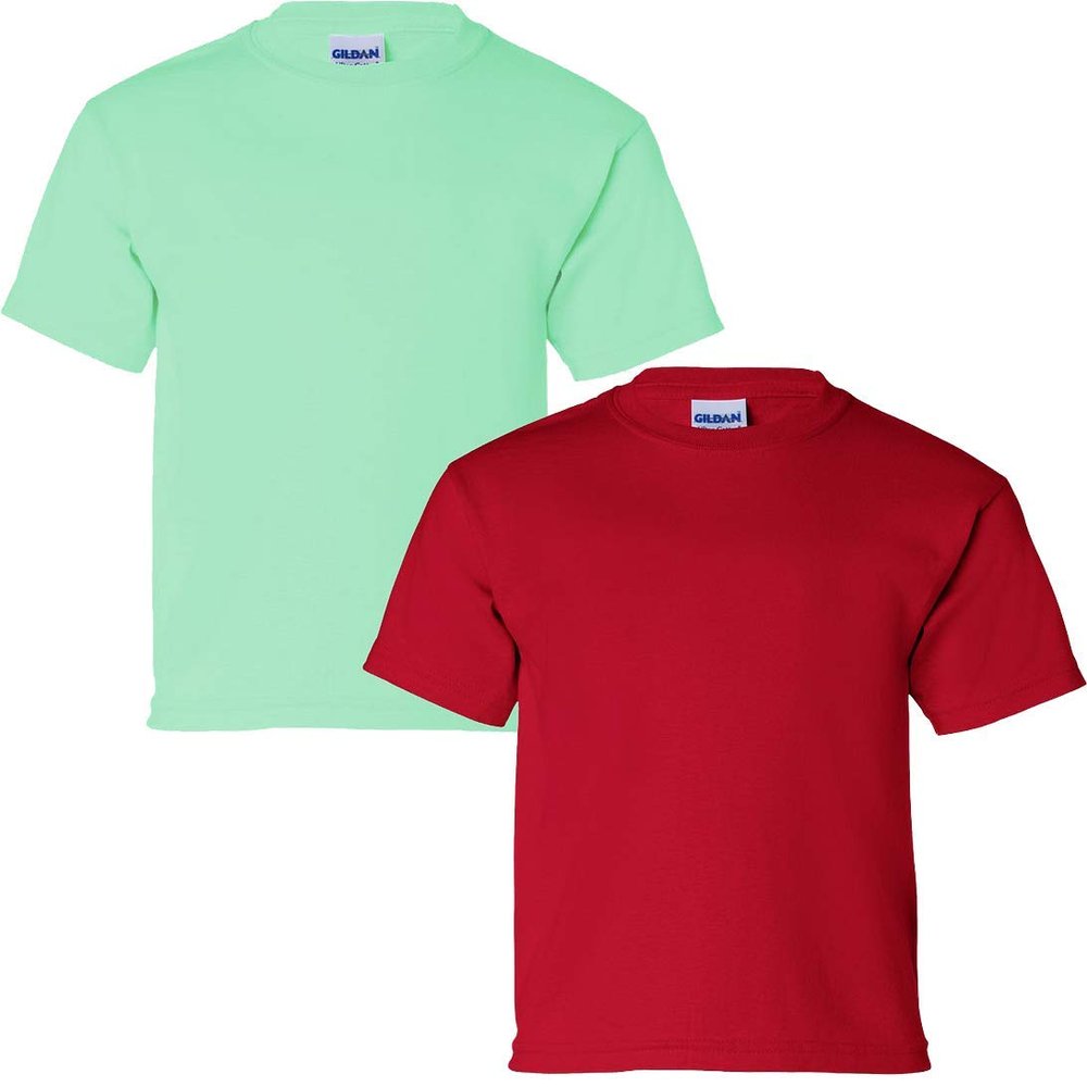 Gildan Kids' Ultra Cotton Youth T-Shirt, 2-Pack XS-Mint-Cherry