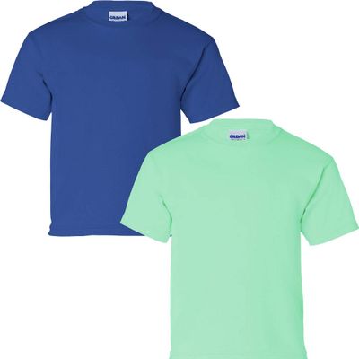 Gildan Kids' Ultra Cotton Youth T-Shirt, 2-Pack LRG-Royal-Mint