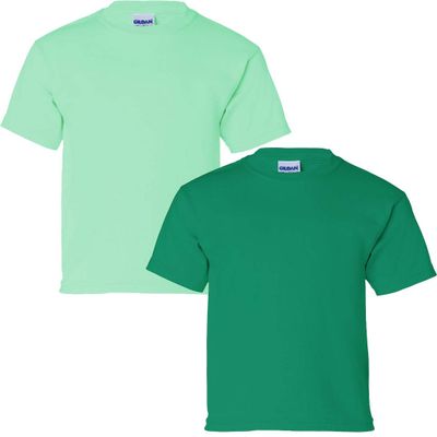 Gildan Kids' Ultra Cotton Youth T-Shirt, 2-Pack LRG-Mint-Kelly