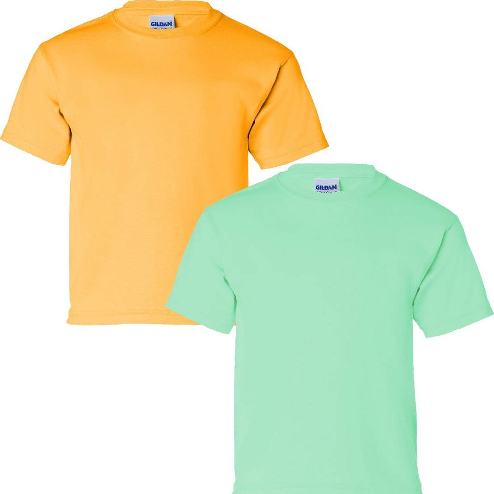 Gildan Kids' Ultra Cotton Youth T-Shirt, 2-Pack MED-Gold-Mint