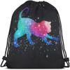 Beabes Unisex Modern Cat Stars Colorful Polyester Soft Shell Drawstring Backpack 14x16.9 Inch Gym Sports Travel Work School Bag view 1