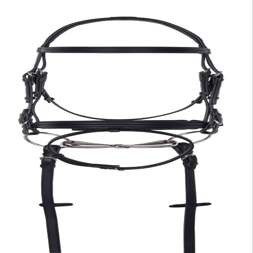 ARAMAS Double Raised Padded Dressage Bridle with Leather Reins