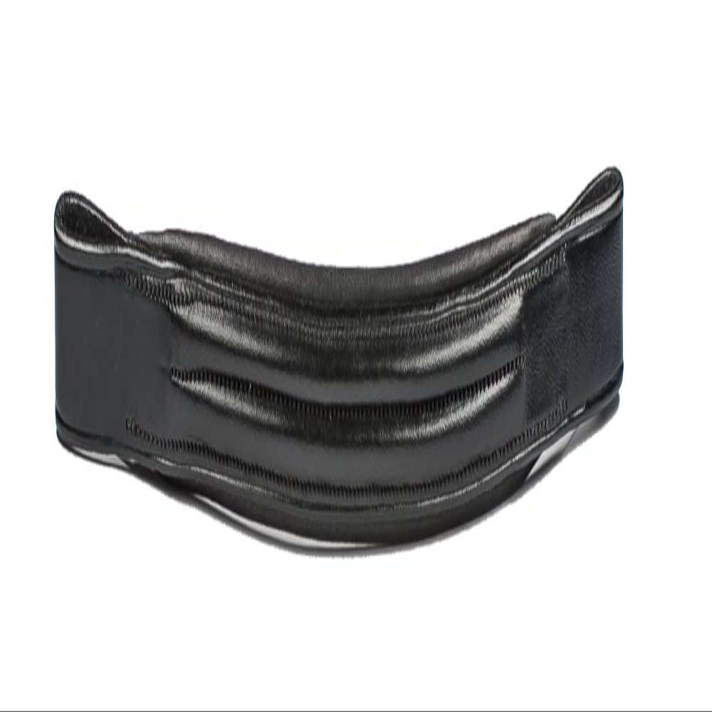 ARAMAS Double Raised 3/4 Inch Wide Padded Browband for Weymouth Bridles