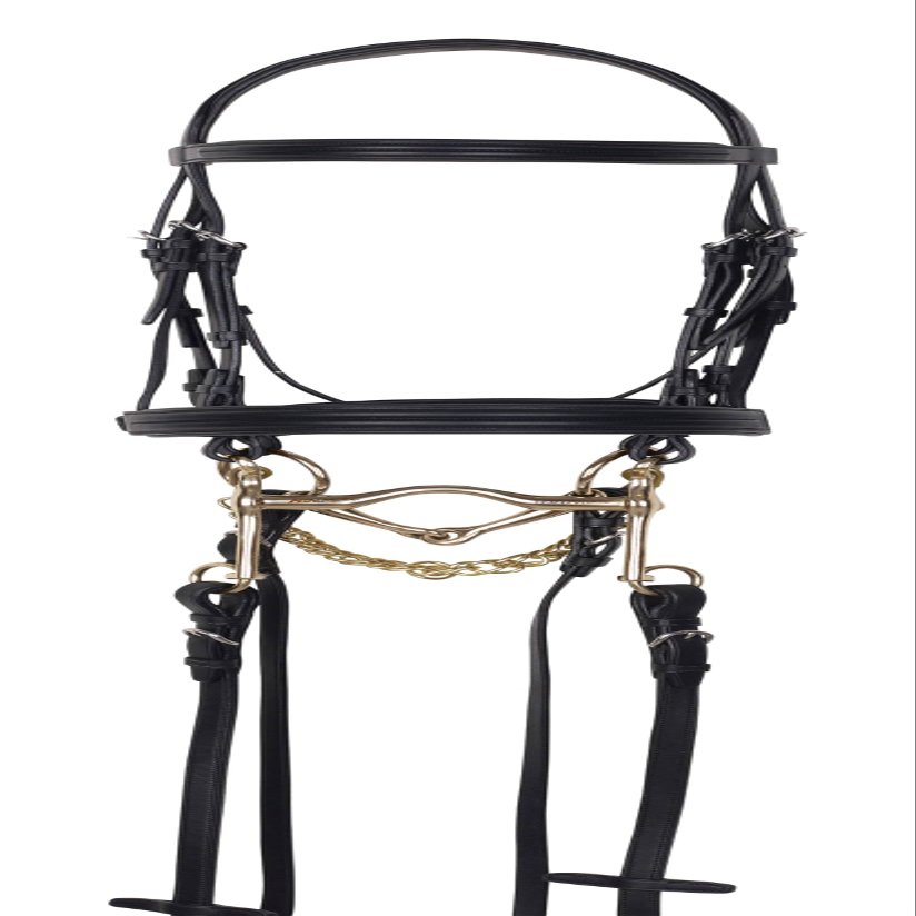 ARAMAS Double Raised Padded Weymouth Dressage Bridle