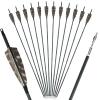 RUOERSI Archery 30 inch Carbon Arrows 500 Spine Hunting Target Practice Arrows with Adjustable Nocks 100 Grain Tips Natural Feather Arrow for Compound Bow Recurve Bow Pack of 12 view 1