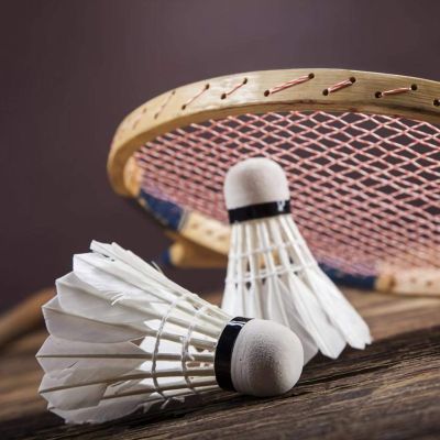 FastUU Badminton Shuttlecocks, High Hardness Badminton, Convenient Portable Students for Office Workers Exercise Beginners
