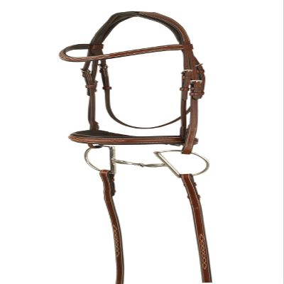 OVATION Manchester Anatomic Bridle