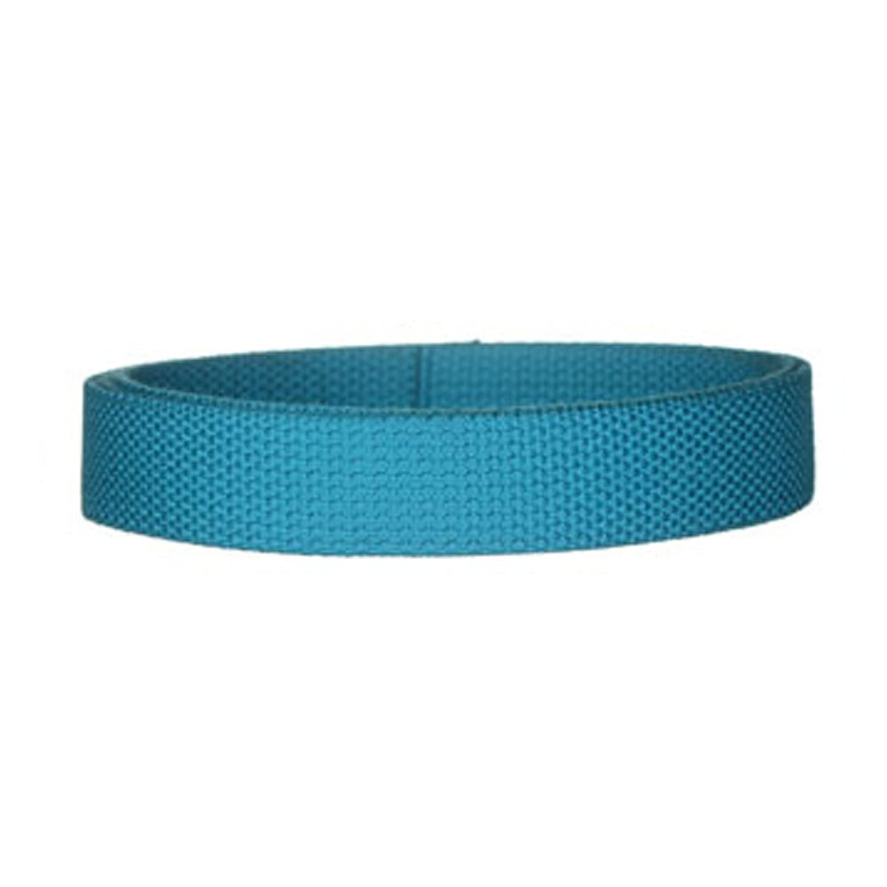 1" Medium Heavy Cotton Webbing for Key Fobs, Purse Straps, Belting - 22 Colors (10 Yards, Turquoise)
