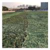 ASDQWER Camouflage Net,Camo Netting,Military Camo Netting, Camouflage Tarp Mesh Net, Lightweight Waterproof for Sunshade,Party Decoration,Hunting Blind and Car Vehicle Cover,15 * 15(49.21 * 49.21ft) view 1