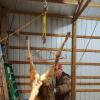 Atflbox Game Hoist Gambrel with 700LB Capacity Deer Hanger and Elk Dual Pulley Hoist Lift System, Hunting Game Hanging Kit for Deer Butcher and Skinning, Deer Hunting Accessories Gifts for Men view 2