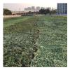 ASDQWER Camouflage Net,Camo Netting,Military Camo Netting, Camouflage Tarp Mesh Net, Lightweight Waterproof for Sunshade,Party Decoration,Hunting Blind and Car Vehicle Cover,5 * 8m(16.4 * 26.25ft) view 1