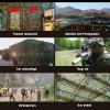 ASDQWER Camouflage Netting,Camo Net Blinds,Great for Sunshade Camping Shooting Hunting Christmas Party Decoration 2X3m 2X4m 2X6m 3X3m 3X4m 4X6m 5X8m 8X10m 9X9m 10X10m,15 * 20(49.21 * 65.62ft) view 2