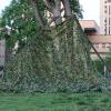 ASDQWER Camouflage Net,Camo Netting,Military Camo Netting, Camouflage Tarp Mesh Net, Lightweight for Sunshade,Canopy,Party Decoration,Hunting Blind and Car Vehicle Cover,2 * 8m(6.56 * 26.25ft) view 3