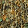 Titan 3D Leafy Blind 5' x 16', Real Tree Edge Pattern view 2