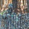 Titan 3D Leafy Blind 5' x 16', Real Tree Edge Pattern view 3