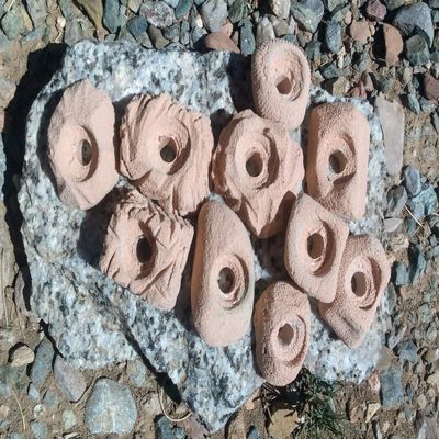 Small Holds Climbing Pack of 10 Bolt-on Holds of Foot and Crimp Size (Tan)