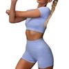 Women Seamless Yoga Outfits 2 Piece Workout Set Short Sleeve Crop Top High Waist Biker Shorts Stretch Tummy Control Yoga Shorts Fitness Running Athletic Clothes Activewear Tracksuit Light Blue Medium view 1