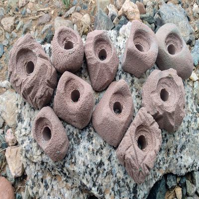 Small Holds Climbing Pack of 10 Bolt-on Holds of Foot and Crimp Size (Brown)