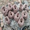 Small Holds Climbing Pack of 10 Bolt-on Holds of Foot and Crimp Size (Brown) view 1