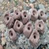 Small Holds Climbing Pack of 10 Bolt-on Holds of Foot and Crimp Size (Brown) view 2
