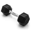 CAP Barbell 10 LB Coated Hex Dumbbell Weight, New Edition view 1