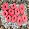 Small Holds Climbing Pack of 10 Bolt-on Holds of Foot and Crimp Size (Red) view 1