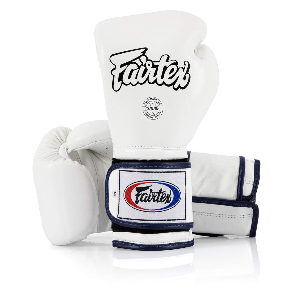 Fairtex Muay Thai Boxing Gloves BGV9 - Heavy Hitter Mexican Style Training & Sparring Gloves for Kick Boxing MMA K1 (White/Blue Piping, 10 oz)