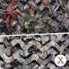 FLYEGO GEN 2 Camo Netting Camouflage Netting Hunting Blind Camo Net Camouflage Nets Military Surplus for Shooting Party Decoration Photograph Car Cover Sunshade(13ft x 20ft, Maple Leaf) view 3