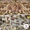 FLYEGO GEN 2 Camo Netting Camouflage Netting Hunting Blind Camo Net Camouflage Nets Military Surplus for Shooting Party Decoration Photograph Car Cover Sunshade13ftx20ft, Dry Grass view 3