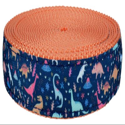Country Brook Design - Dinosaurs Ribbon on Coral Nylon Webbing (3/4 Inch, 50 Yards)