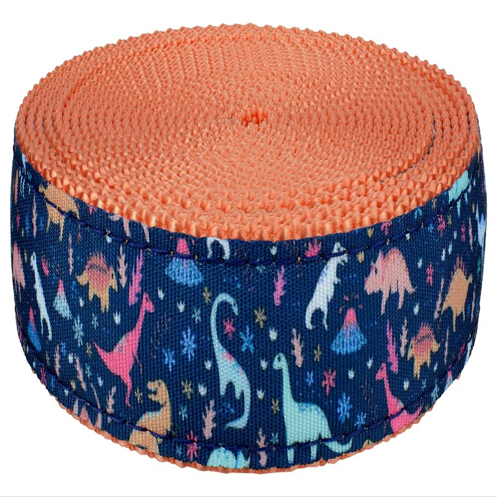Country Brook Design - Dinosaurs Ribbon on Coral Nylon Webbing (3/4 Inch, 50 Yards)