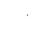 Easton Arrow 6.5 Carbon White Out (.003) 2" VANES 500 (6) view 1