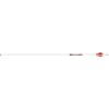 Easton Arrow 6.5 Carbon White Out (.003) 2" VANES 500 (6) view 2