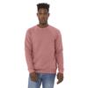 Bella Canvas Unisex Adult Fleece Raglan Sweatshirt (XS) (Carbon Grey Heather) view 2