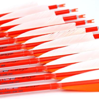 600 Spine Arrow 30 Inch Arrow Target Practice Arrow Hunting Arrow Carbon Arrows Compound Bow Recurve Bow Adult Youth Archery Indoor Outdoor Shooting Field Tip 12pc